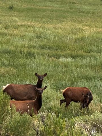 640 County Rd 571, Gardner, CO 81040