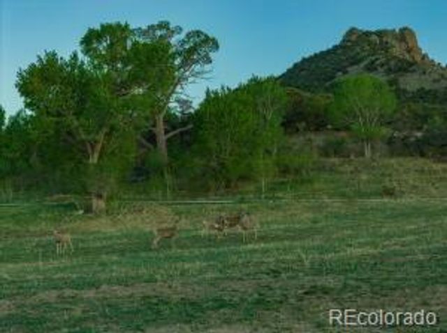 640 County Rd 571, Gardner, CO 81040