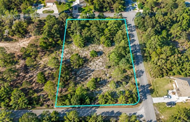 12194 LABRADOR DUCK ROAD, Weeki Wachee, FL 34614