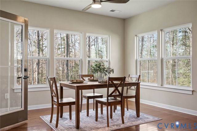 17531 Great Falls Cir, Moseley, VA 23120