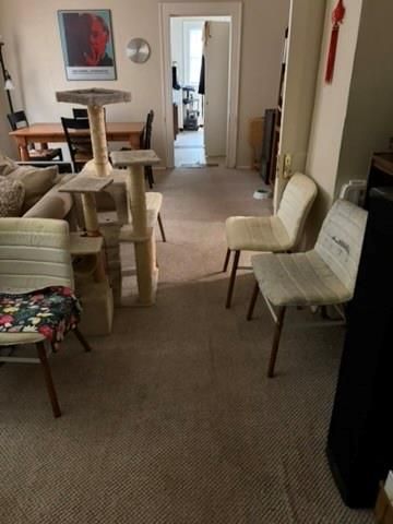 2513 Hazard Street, Houston, TX 77019