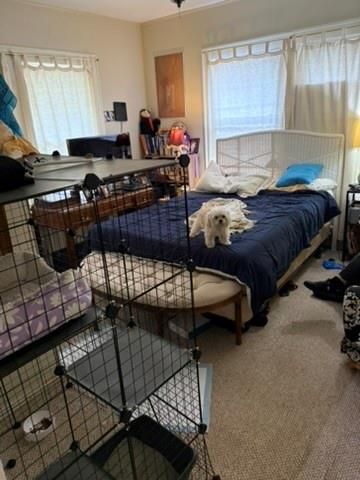 2513 Hazard Street, Houston, TX 77019