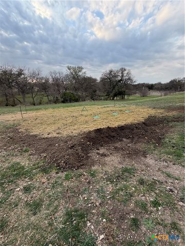 110 Guadalupe Drive, Oglesby, TX 76561