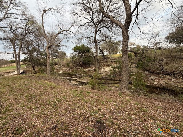 110 Guadalupe Drive, Oglesby, TX 76561
