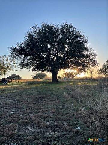 110 Guadalupe Drive, Oglesby, TX 76561