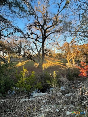 110 Guadalupe Drive, Oglesby, TX 76561