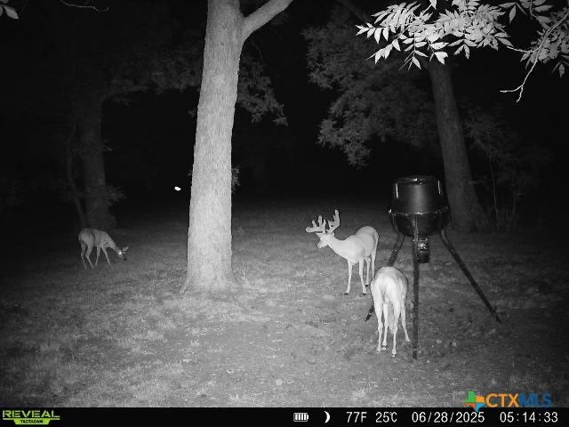 110 Guadalupe Drive, Oglesby, TX 76561