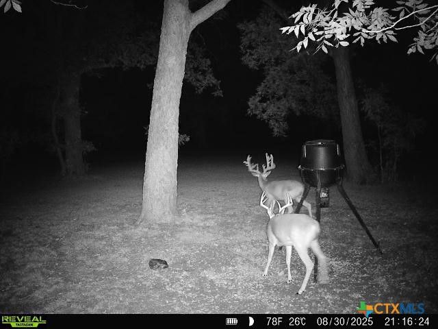 110 Guadalupe Drive, Oglesby, TX 76561