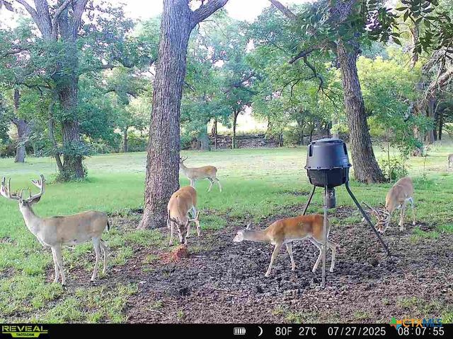 110 Guadalupe Drive, Oglesby, TX 76561