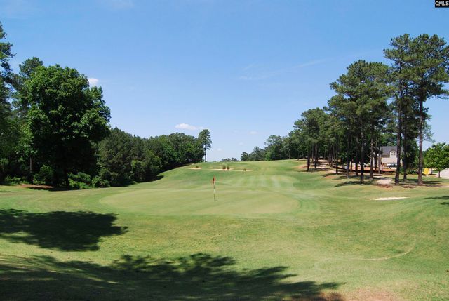 236 Crimson Queen Drive, Blythewood, SC 29016