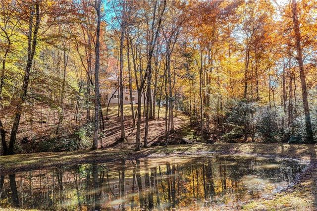 339 Wehunt Road, Blue Ridge, GA 30513