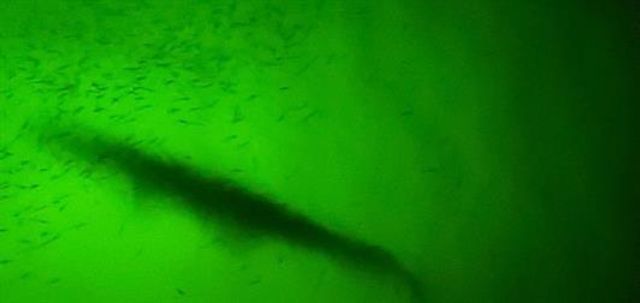 22922 Lunes Street, Galveston, TX 77554