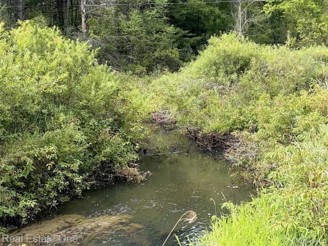 1275 Rosell Road, Rose Township, MI 48442