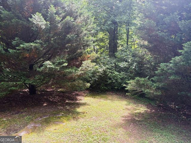385 Nectarine Drive, Newnan, GA 30265