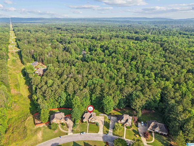 515 WOODBRIDGE TRACE, Chelsea, AL 35043