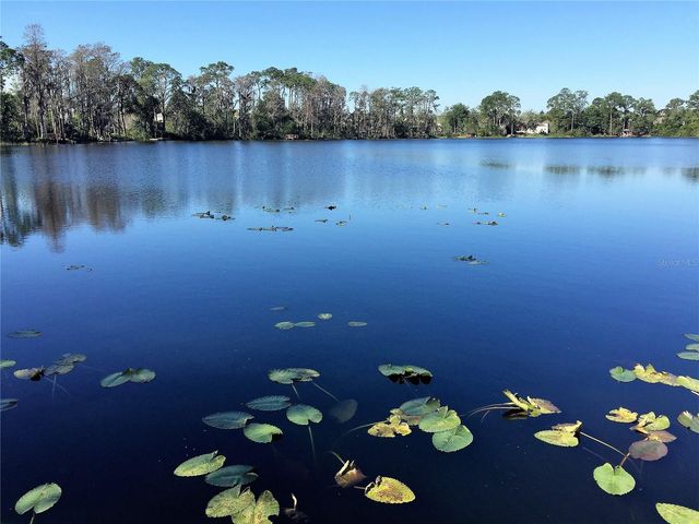 10040 CRYSTALLINE COURT, Orlando, FL 32836