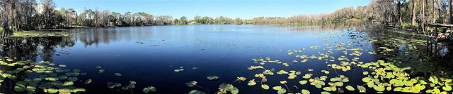 10040 CRYSTALLINE COURT, Orlando, FL 32836