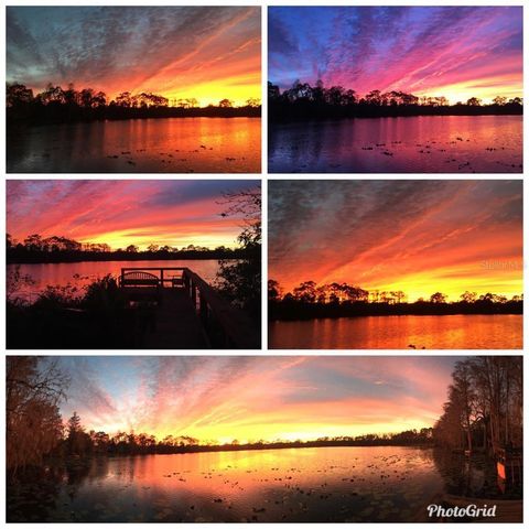 10040 CRYSTALLINE COURT, Orlando, FL 32836