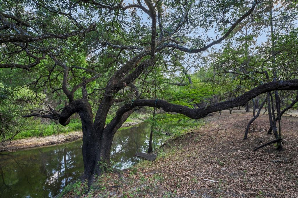 Image 68 of property listing at 3431 RIDERWOOD DR, Dade City, FL 33523