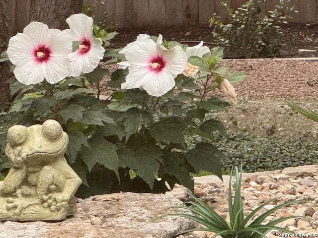 7310 Steeple Dr, San Antonio, TX 78256