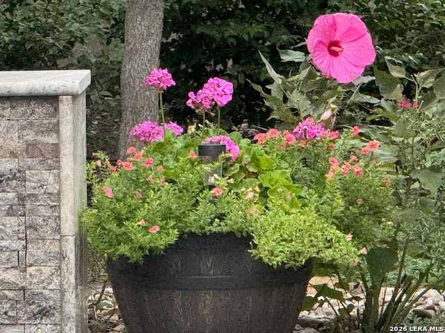 7310 Steeple Dr, San Antonio, TX 78256