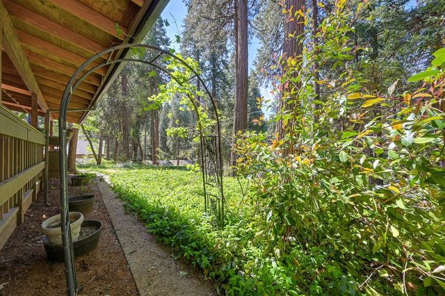 2895 Viona Rd, Pollock Pines, CA 95726