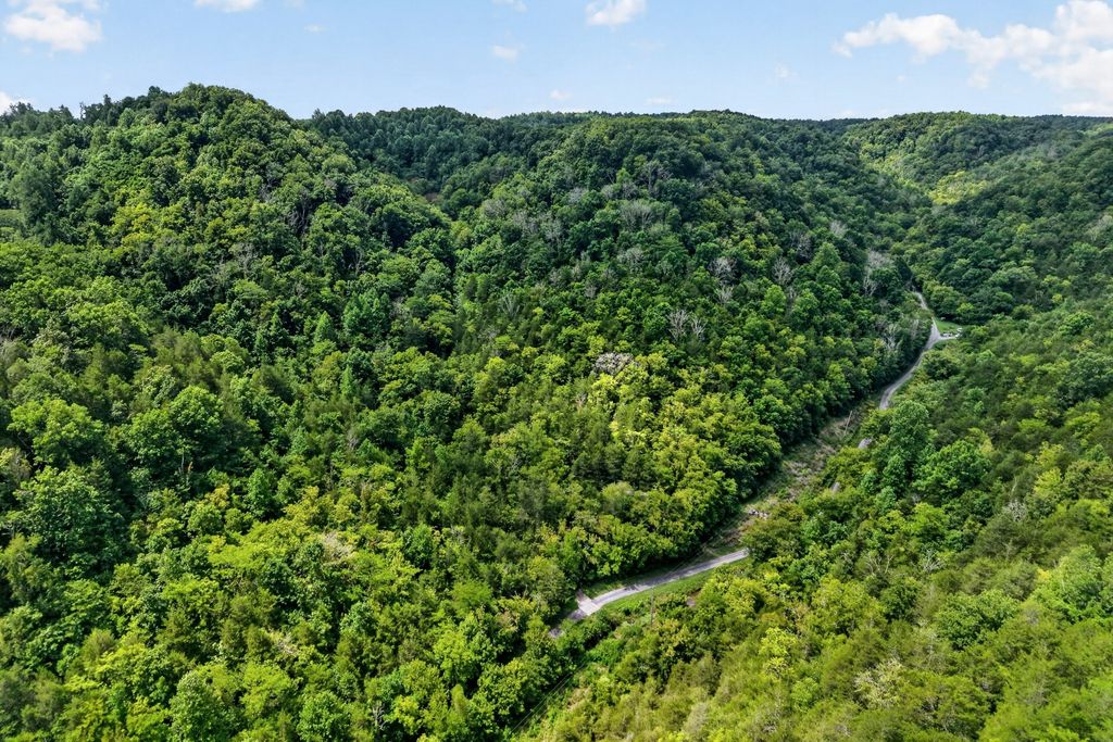 0 Turkey Branch Rd, Liberty, TN 37095