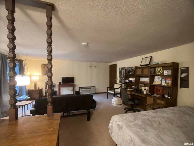 105 N Violet Lane, Carbondale, IL 62901