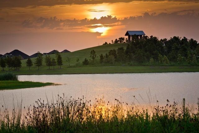 29815 Longleaf Grove Lane, Fulshear, TX 77441