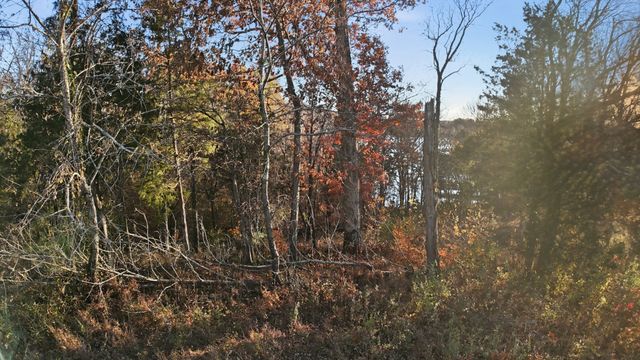 1029 Emerald Valley Dr, Castalian Springs, TN 37031