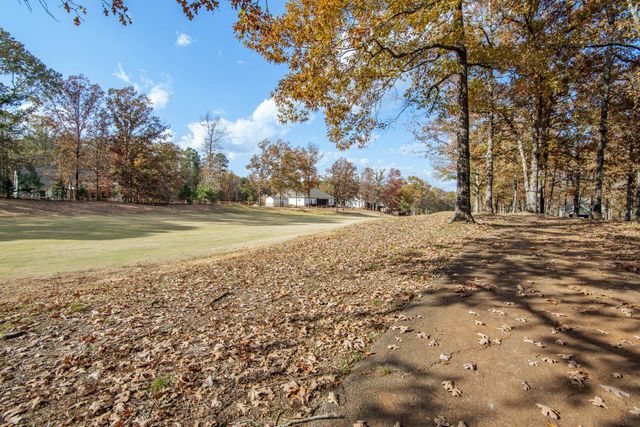 215 SAINT ANDREWS CT, Counce, TN 38326