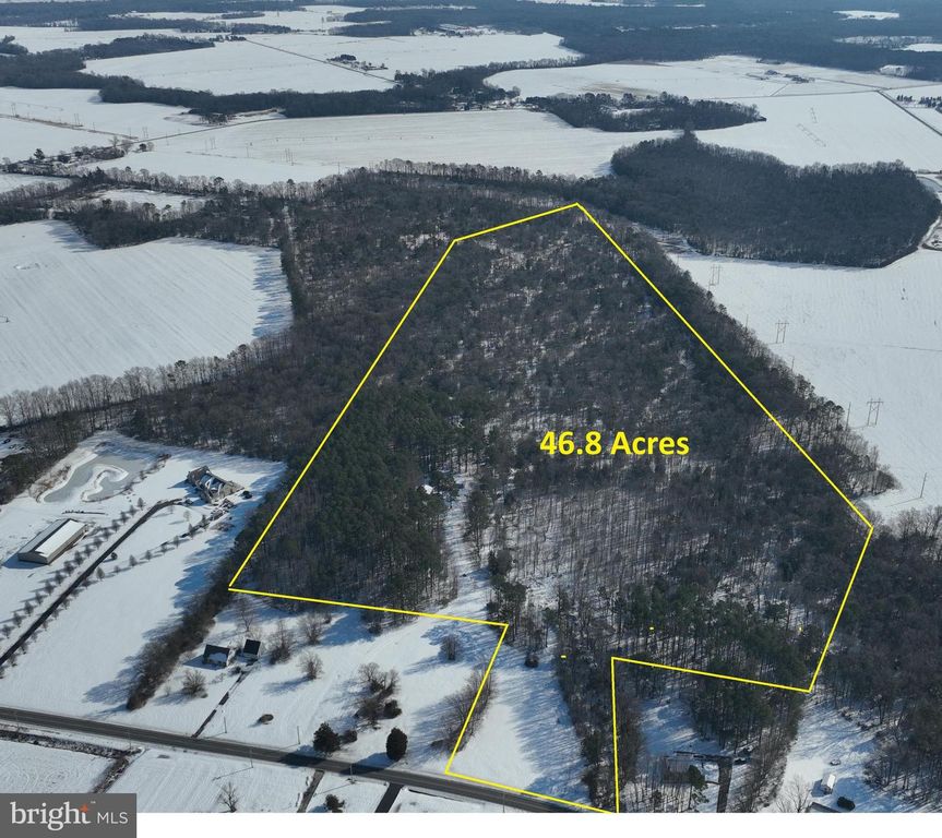 2578 WILLIAMSVILLE RD, Houston, DE 19954