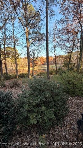 4041 Timber Wolf Circle, Sanford, NC 27332