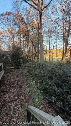 4041 Timber Wolf Circle, Sanford, NC 27332