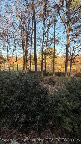 4041 Timber Wolf Circle, Sanford, NC 27332