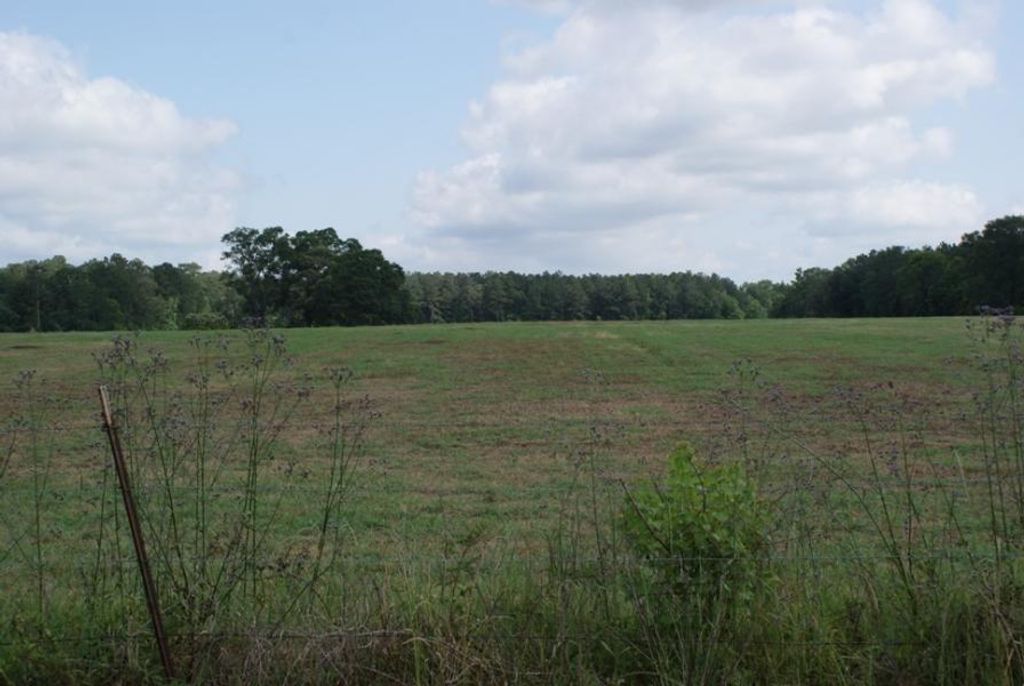 Magnolia Loop Tract 5, Deridder, LA 70634