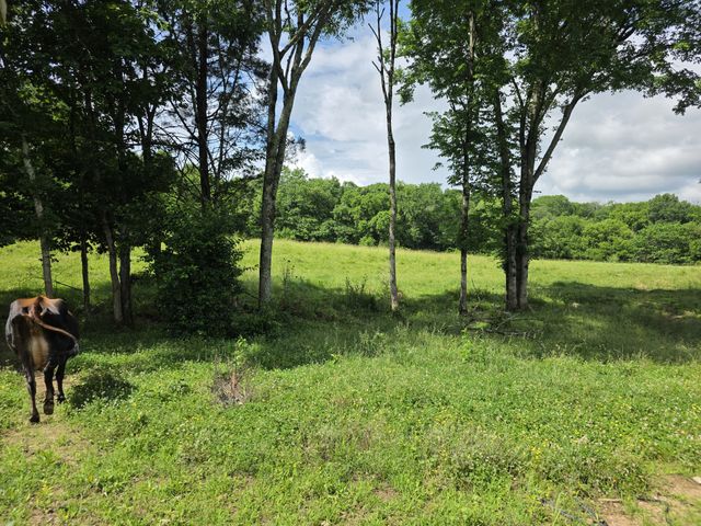 144 Heine Ln, Hartsville, TN 37074