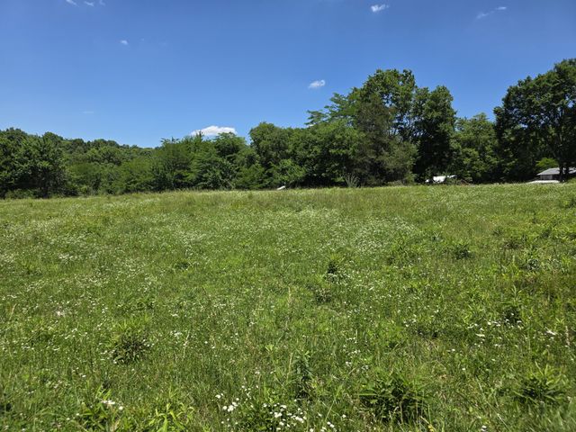 144 Heine Ln, Hartsville, TN 37074