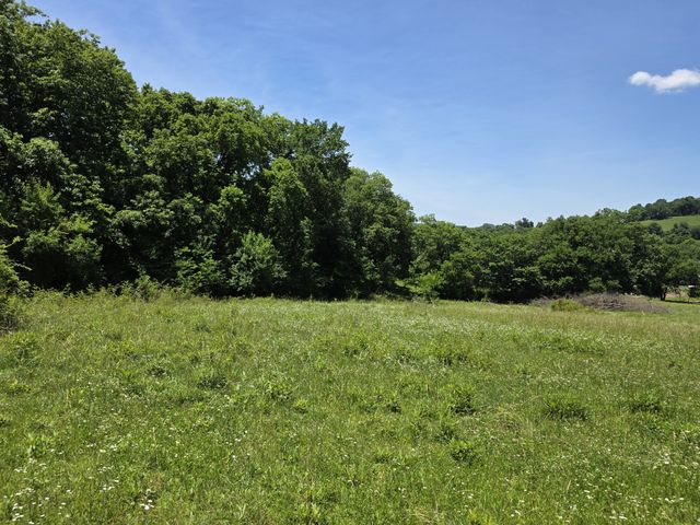 144 Heine Ln, Hartsville, TN 37074