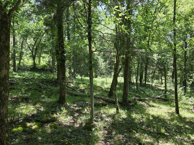 144 Heine Ln, Hartsville, TN 37074