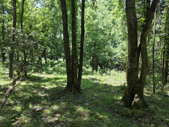 144 Heine Ln, Hartsville, TN 37074
