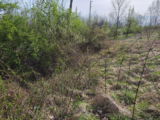 270 Cottonwood Drive, Dry Ridge, KY 41035