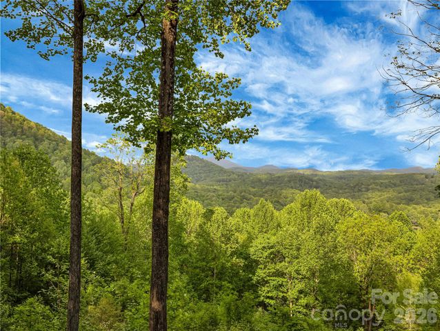 586 Tanglewood Lane, Saluda, NC 28773