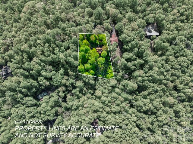 586 Tanglewood Lane, Saluda, NC 28773
