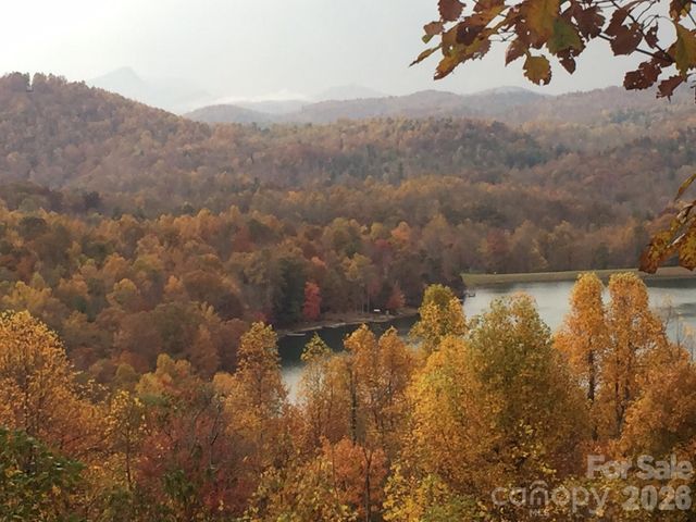 586 Tanglewood Lane, Saluda, NC 28773