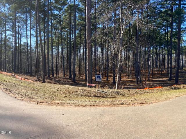 6713 Bartley Point Drive, New Hill, NC 27562