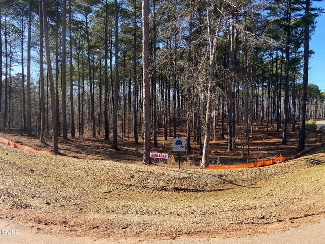 6713 Bartley Point Drive, New Hill, NC 27562