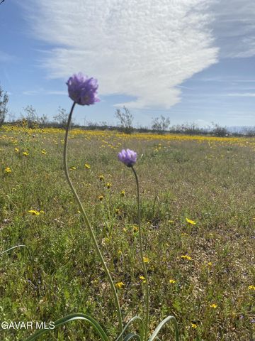 0 W Mojave, Mojave, CA 93501