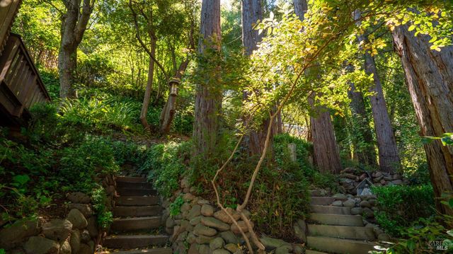 5 Viox Way, San Rafael, CA 94901