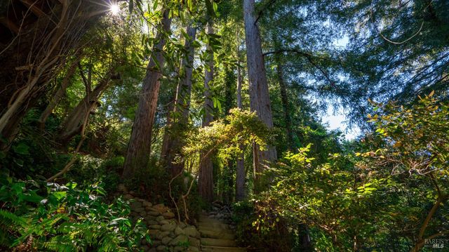 5 Viox Way, San Rafael, CA 94901